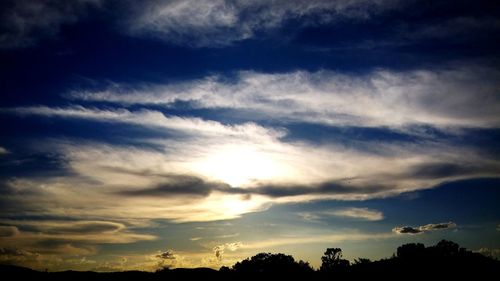 Low angle view of silhouette trees against sky during sunset