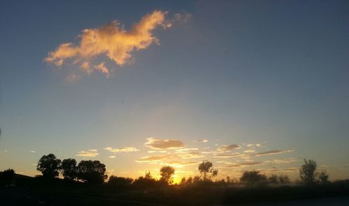 Silhouette of trees at sunset
