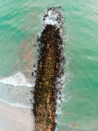 High angle view of snake on rock in sea