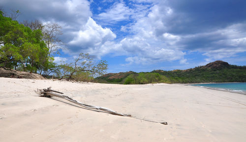 Scenic view of beach against cloudy sky