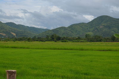 Scenic view of field against sky