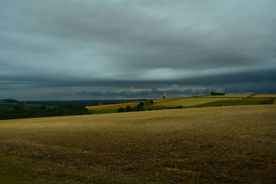 Scenic view of agricultural field against sky