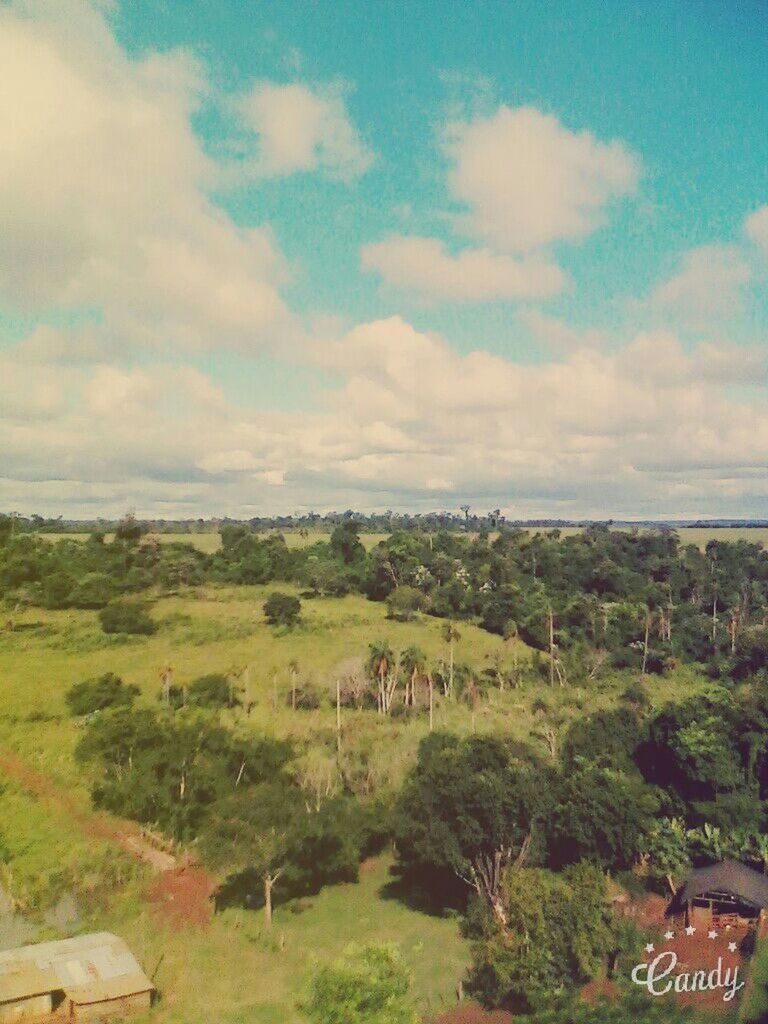 tree, sky, landscape, scenics, tranquil scene, cloud - sky, tranquility, beauty in nature, nature, built structure, high angle view, building exterior, architecture, green color, cloud, cloudy, house, growth, idyllic, day