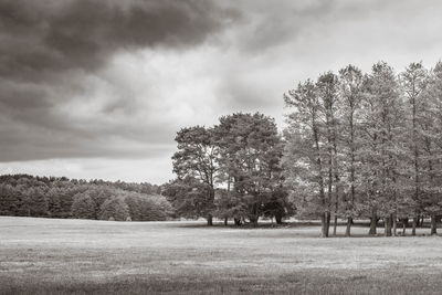 Trees on field against cloudy sky