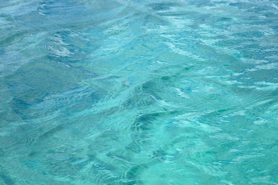 High angle view of swimming pool in sea