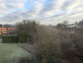 Trees on field against cloudy sky