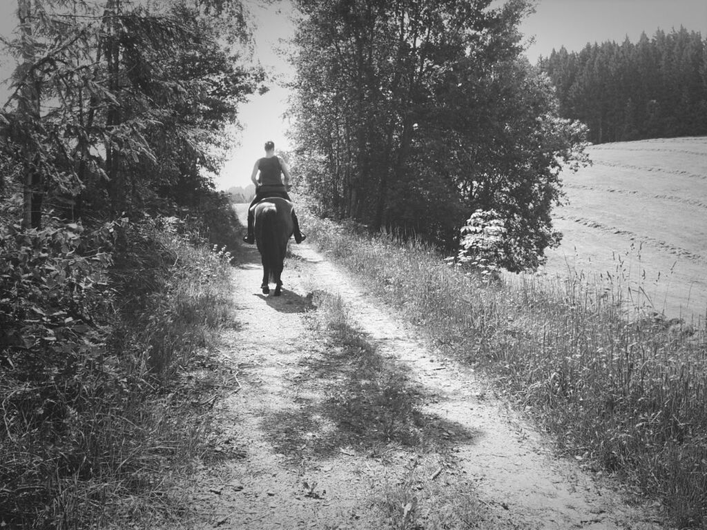 full length, the way forward, walking, rear view, lifestyles, tree, leisure activity, dirt road, road, men, diminishing perspective, transportation, vanishing point, street, nature, bicycle, on the move, outdoors