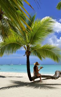 Man sitting by palm tree on beach against sky