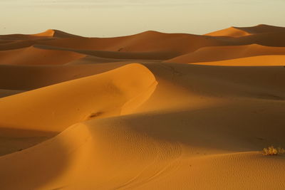 Scenic view of desert against sky