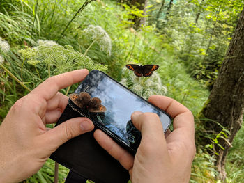 Cropped image of hand holding plant against plants