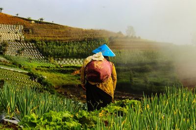 Rear view of man on agricultural field