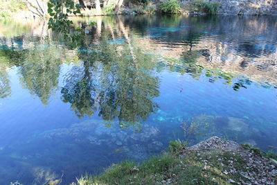 High angle view of trees by lake