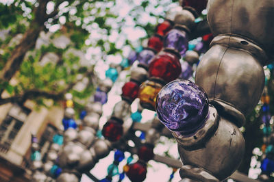 Close-up of plant against blurred background