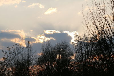 Low angle view of bare trees against sky during sunset