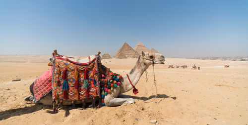 Panoramic view of desert against clear sky