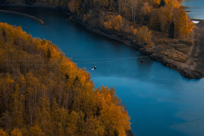 High angle view of river amidst trees in forest