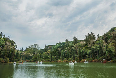People having fun on fiberglass boats with the shape of swan at the black lake in gramado. brazil.