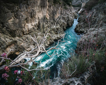 Scenic view of waterfall in forest