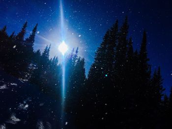 Low angle view of silhouette trees against sky at night