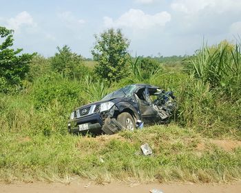 Car on field against trees