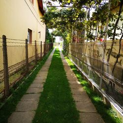 Footpath amidst plants and fence against building