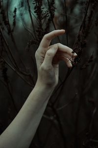 Cropped hand of woman by plants