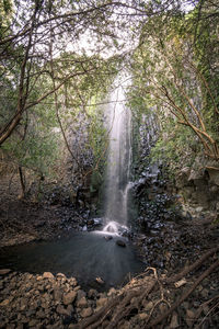 Scenic view of waterfall in forest