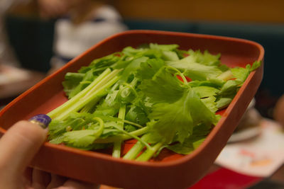 Close-up of salad in bowl