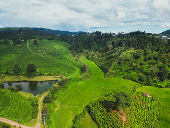 environment