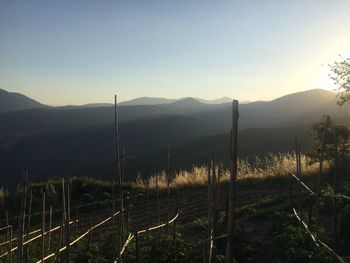 Scenic view of landscape