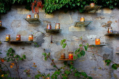 Pickled vegetables in jars against a beton wall