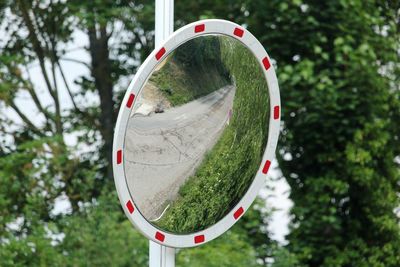 Close-up of road mirror against trees