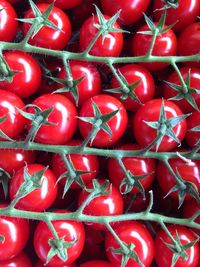 Full frame shot of red tomatoes