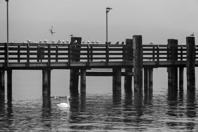 View of pier on sea against clear sky