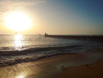 Scenic view of beach during sunset