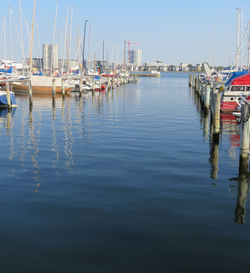 Sailboats moored in harbor