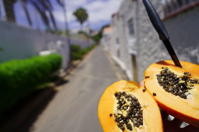 Close-up of fruits