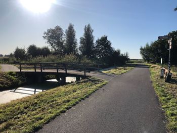 Footpath amidst trees against sky