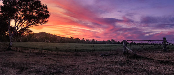 Scenic view of field against sky during sunset