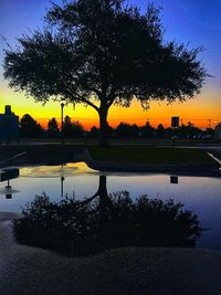 Silhouette trees by lake against sky at sunset