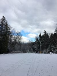 Trees against sky during winter