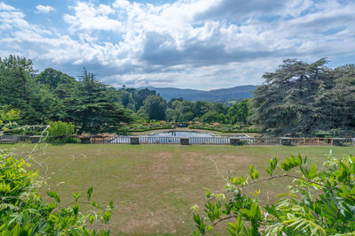 Trees and plants growing on field against sky