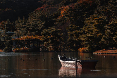 Scenic view of lake by trees