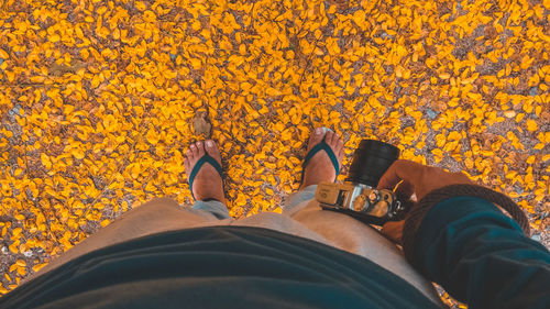 Low section of person wearing shoes on yellow leaves