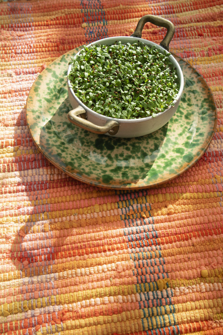 HIGH ANGLE VIEW OF VEGETABLES IN BOWL ON TRAY