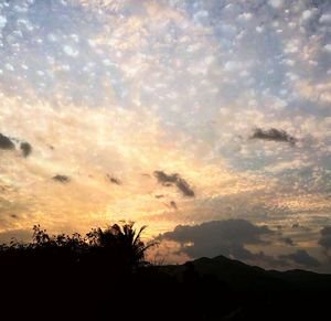 Low angle view of silhouette trees against sky