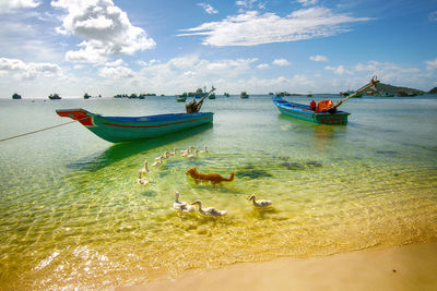 Boats moored on sea against sky