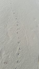 Close-up of sand on beach