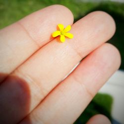Close-up of cropped hand holding yellow flower