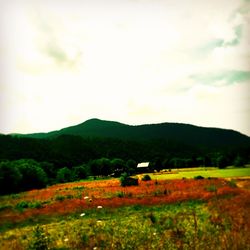 Scenic view of landscape against sky